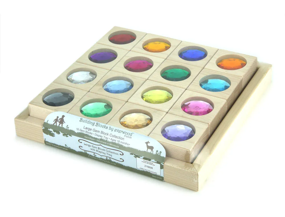 16 pc. Large Gem Block Collection with Tray
