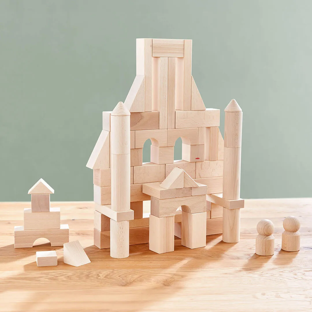 Basic Building Blocks - Large Starter Set