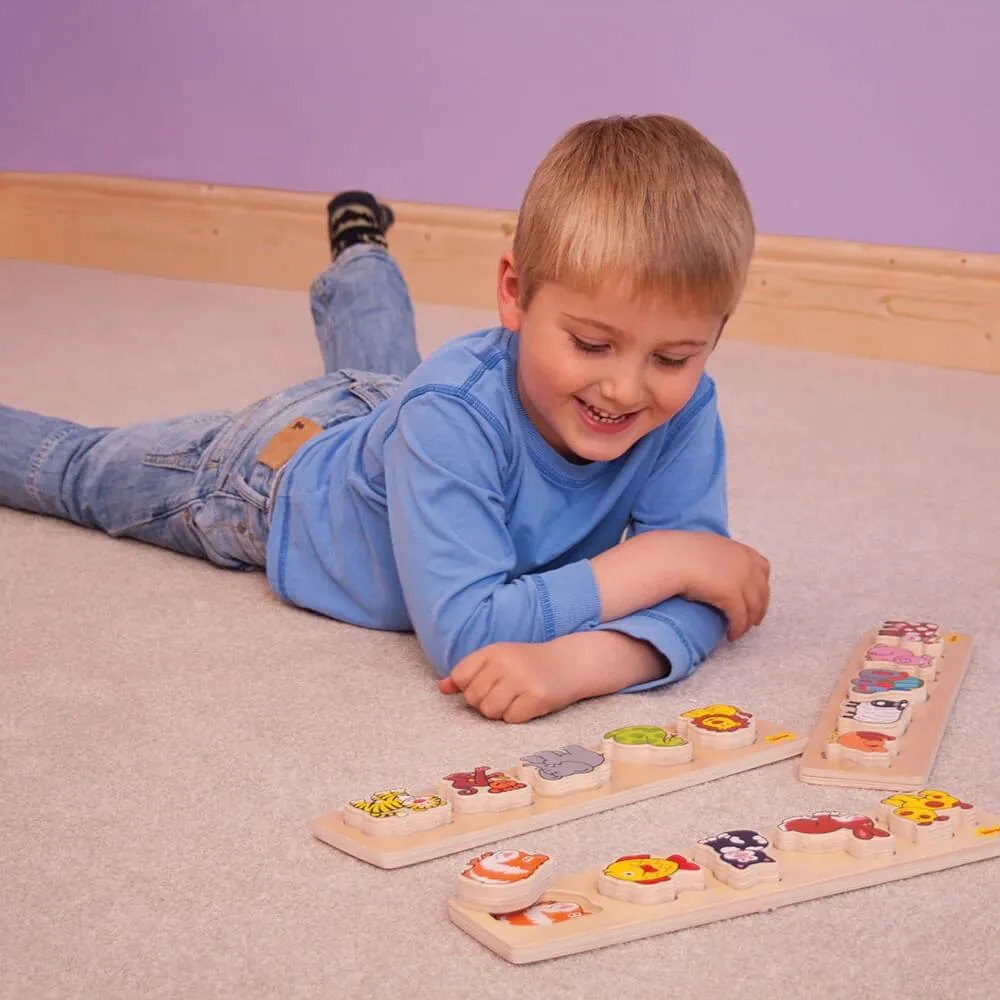 Bigjigs Chunky Lift & Match Puzzle (Toys)