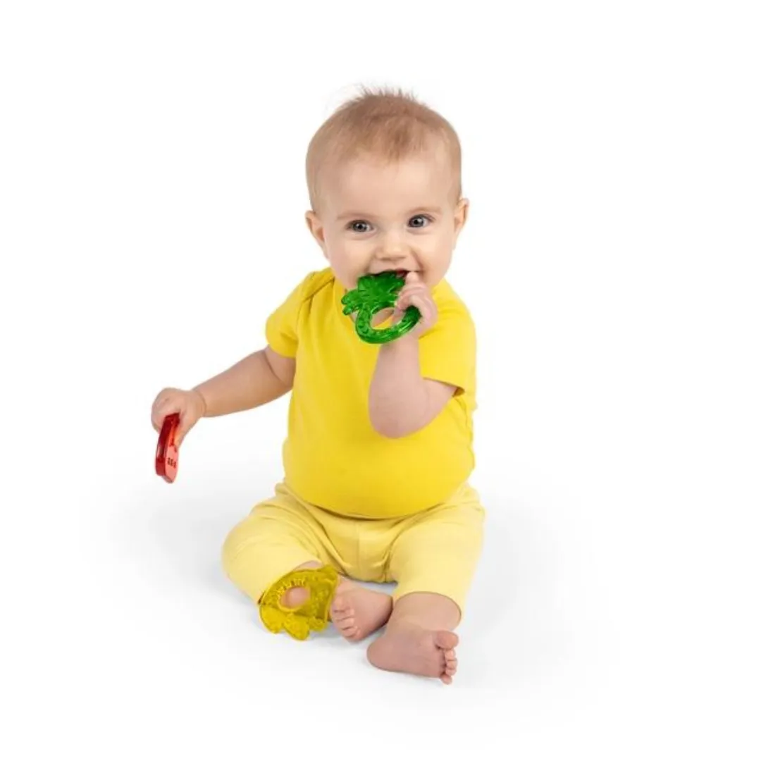 Bright Starts Juicy Chews 3-Pack Textured Teethers (3m )