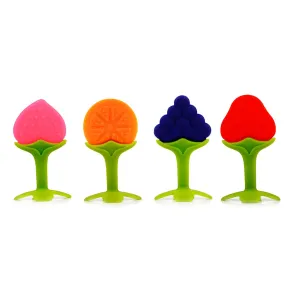 Chanak Baby Silicone Fruit Teether for Toddlers (Orange, Red, Blue & Pink)