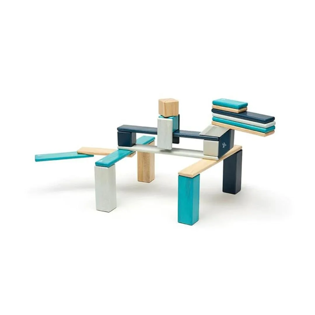 Magnetic Wooden Blocks - 24 Piece Set Blues