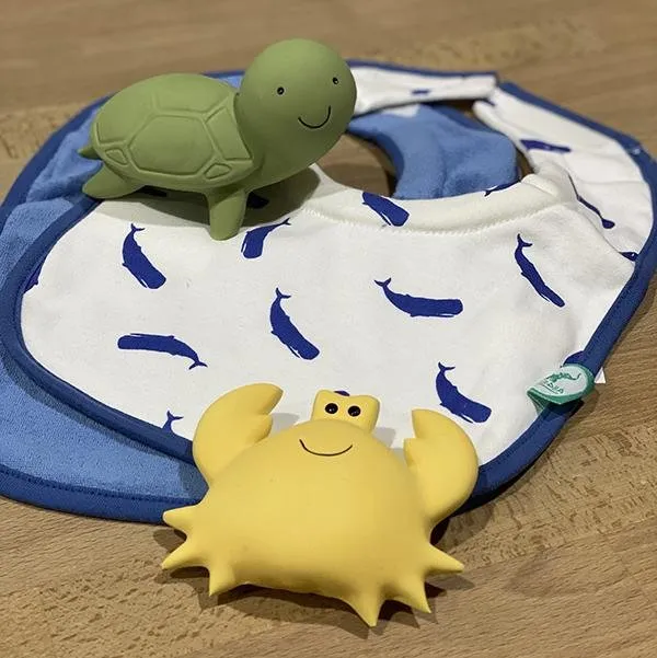 Ocean Rattle and Teether
