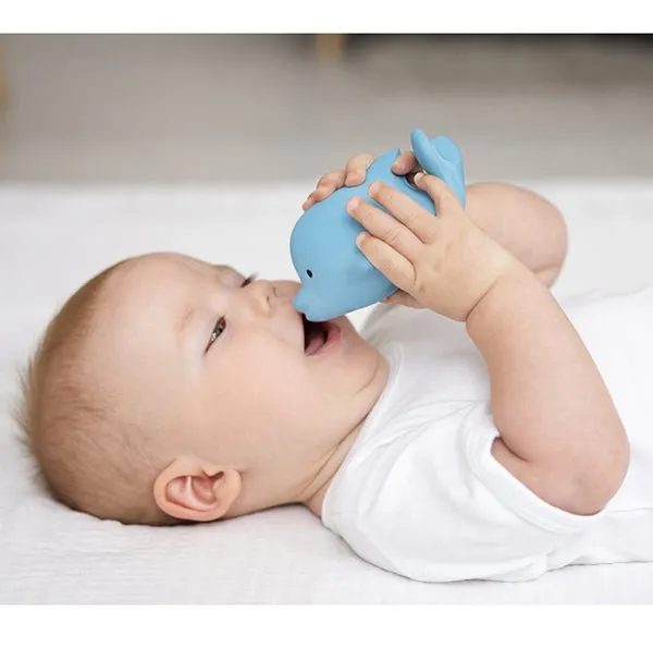 Ocean Rattle and Teether