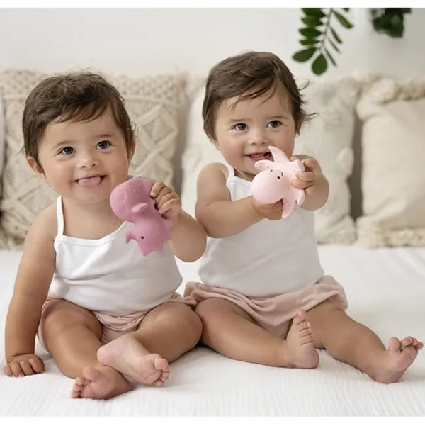 Ocean Rattle and Teether