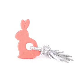 Zippy Paws ZippyTuff Teethers Bunny Rope and Chew Puppy Dog Toy - Small